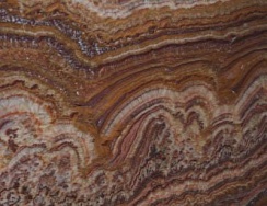 JASPER JASPER